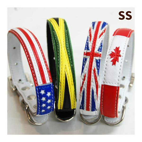 犬 首輪 革 レザー ASHU ワールドカラーSSサイズ 小型犬サイズ