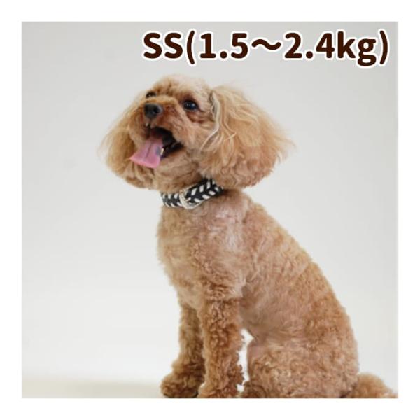 犬 首輪 革 レザー ASHU サイドループレザーカラー SSサイズ