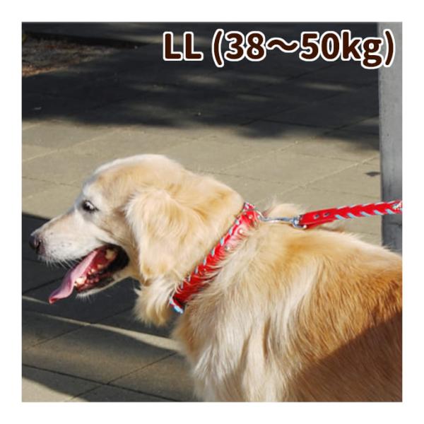 犬 首輪 革 レザー ASHU サイドループレザーカラー LLサイズ