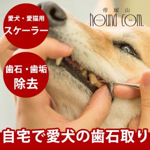 帝塚山ハウンドカム 犬 デンタル 愛犬 猫 用スケーラー 先細&平型