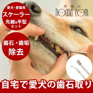 犬歯石除去 おすすめのランキングtop97 人気売れ筋ランキング Yahoo ショッピング