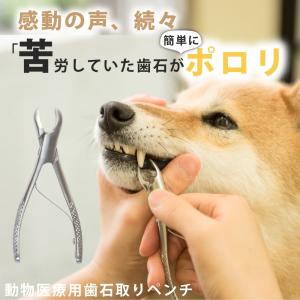 愛犬・愛猫用ペンチ ペット用の詳細画像1