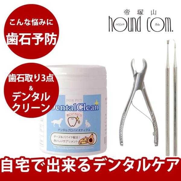 スケーラー・ペンチ＆デンタルサプリセット 口臭、口内環境a0370