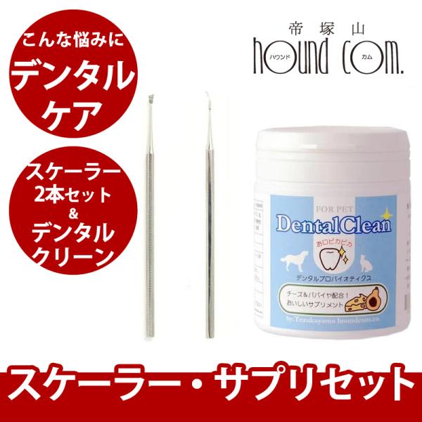 スケーラー・サプリセットa0369