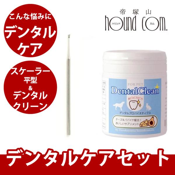 スケーラー&amp;デンタルケアセットa0368