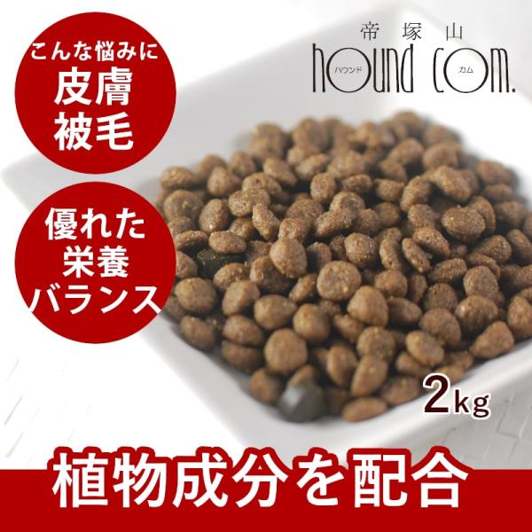爆買 FORZA10 食事療法食 デルモアクティブ 皮膚・被毛ケア 2kg フォルツァディエチ ドッ...