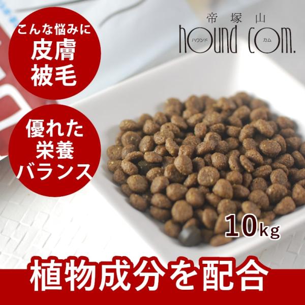 爆買 FORZA10 食事療法食 デルモアクティブ 皮膚・被毛ケア 10kg フォルツァディエチ ド...