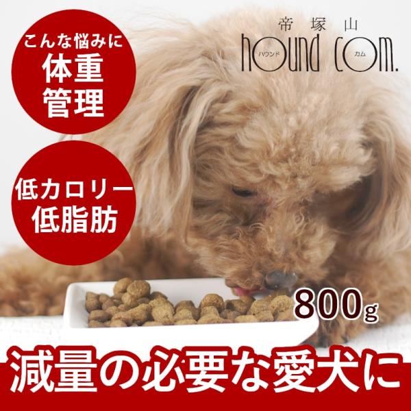 FORZA10 食事療法食 ウェイトコントロールアクティブ 体重管理 800g フォルツァディエチ ...