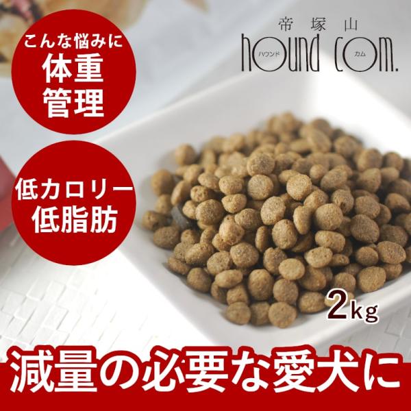 FORZA10 食事療法食 ウェイトコントロールアクティブ 体重管理 2kg フォルツァディエチ ド...