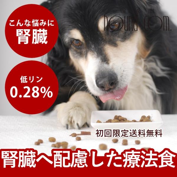 犬 ドッグフード 療法食 腎不全 腎臓ケア 腎臓療法食 犬用 腎臓ケア FORZA10 食事療法食 ...