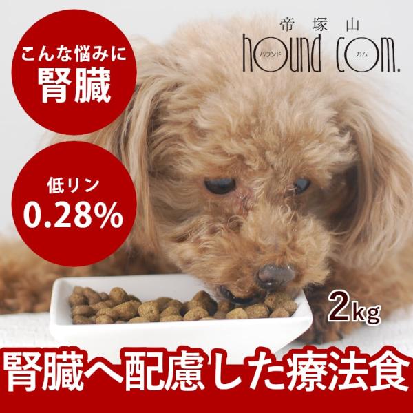 犬 ドッグフード 療法食 腎不全 腎臓ケア 腎臓療法食 犬用 腎臓ケア FORZA10 食事療法食 ...