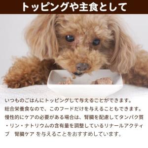 犬 缶詰 ドッグフード ウェットフード パテタ...の詳細画像2