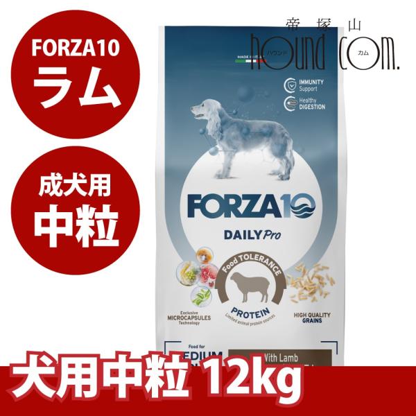 【お取り寄せ】犬 FORZA10 犬用 デイリープロ　アダルトラム  12kg（中粒）
