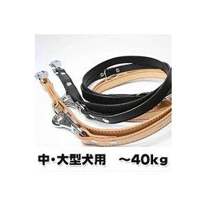 イタリア製リード ナチュラル ＧＡ ２２ ２００ リード