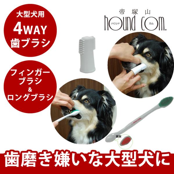大型犬用 歯ブラシ コンボ デンタブラシDX 歯磨き嫌いな大型犬におすすめ ゴールデンレトリバー 大...