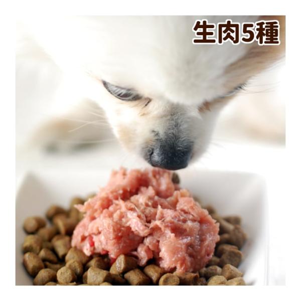 犬用 生肉 ローテーション 5点セット 簡単手作り食 犬 手作りフード 生食
