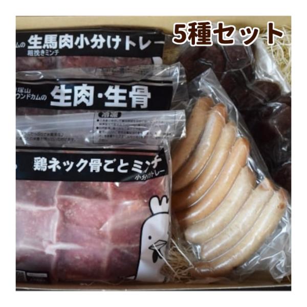 愛犬用ギフトセット 生肉・お惣菜5種セット プレゼント 贈り物