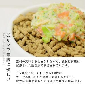 愛犬用 手作りごはん ドッグフード ウェットフ...の詳細画像2