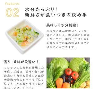 愛犬用 手作りごはん ドッグフード ウェットフ...の詳細画像5