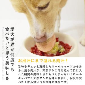 愛犬用 手作りごはん ドッグフード 餌 ご飯 ...の詳細画像1