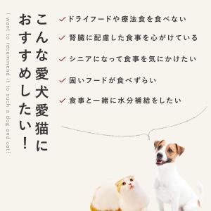 愛犬用 手作りごはん ドッグフード 餌 ご飯 ...の詳細画像3