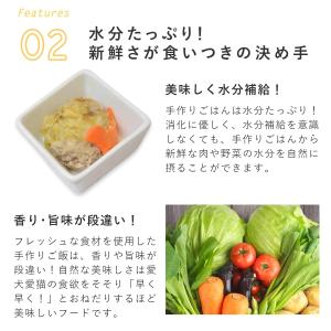 愛犬用 手作りごはん ドッグフード 餌 ご飯 ...の詳細画像5