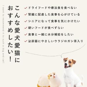 愛犬用 手作りごはん ドッグフード 餌 ご飯 ...の詳細画像3