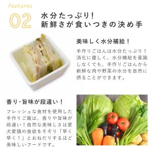 愛犬用 手作りごはん ドッグフード 餌 ご飯 ...の詳細画像5