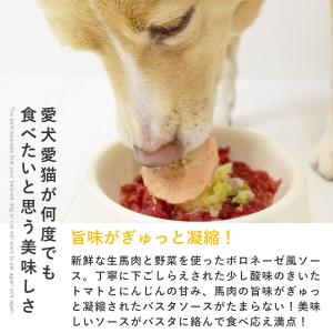 愛犬用 手作りごはん ドッグフード 餌 ご飯 ...の詳細画像1