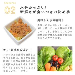 愛犬用 手作りごはん ドッグフード 餌 ご飯 ...の詳細画像5