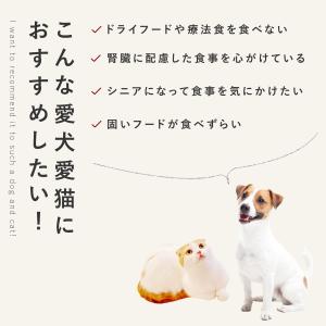 愛犬用 手作りごはん ドッグフード 餌 ご飯 ...の詳細画像3