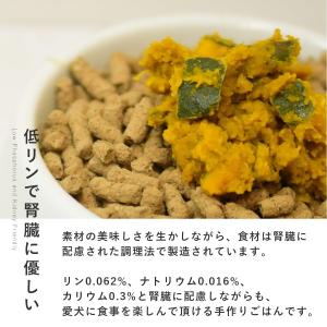愛犬用 手作りごはん ドッグフード 餌 ご飯 ...の詳細画像2