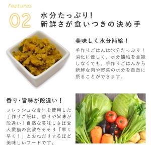 愛犬用 手作りごはん ドッグフード 餌 ご飯 ...の詳細画像5