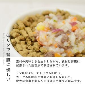 愛犬用 手作りごはん ドッグフード 餌 ご飯 ...の詳細画像2
