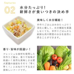 愛犬用 手作りごはん ドッグフード 餌 ご飯 ...の詳細画像5