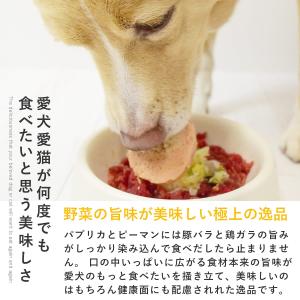 愛犬用 手作りごはん ドッグフード 餌 ご飯 ...の詳細画像1