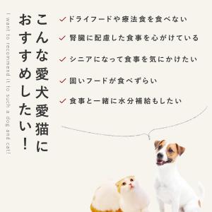 愛犬用 手作りごはん ドッグフード 餌 ご飯 ...の詳細画像3