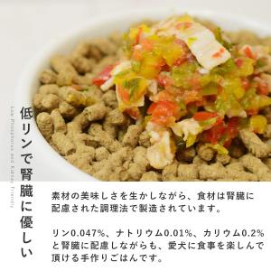 愛犬用 手作りごはん ドッグフード 餌 ご飯 ...の詳細画像2