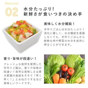 愛犬用 手作りごはん ドッグフード 餌 ご飯 ...の詳細画像5
