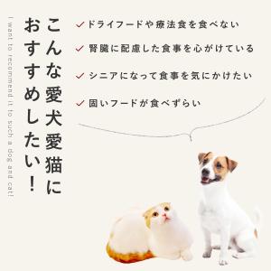 愛犬用 手作りごはん ドッグフード 餌 ご飯 ...の詳細画像3