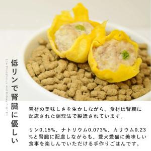 愛犬用 手作りごはん ドッグフード 餌 ご飯 ...の詳細画像2