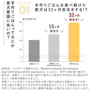 愛犬用 手作りごはん ドッグフード 餌 ご飯 ...の詳細画像4