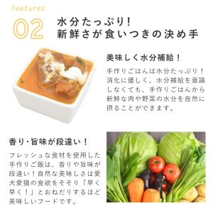 犬 手作りごはん ほろほろお肉のビーフシチュー...の詳細画像5