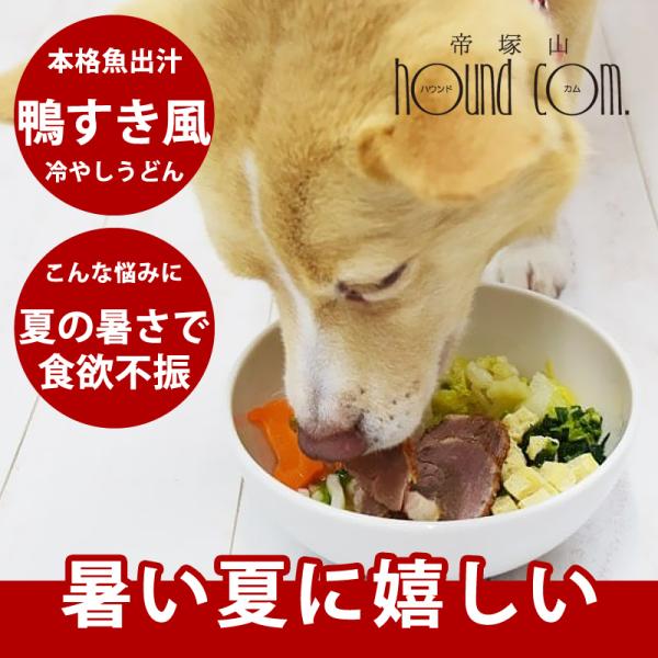 愛犬用　冷やし鴨すき風うどん