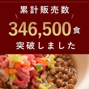 犬 猫 用 ドッグフード 水分補給 水 飲まな...の詳細画像5
