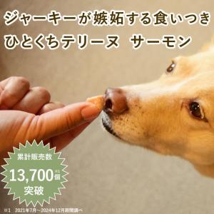 犬 おやつ 猫 ドッグフード ペットフード ウ...の詳細画像1