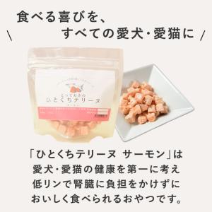 犬 おやつ 猫 ドッグフード ペットフード ウ...の詳細画像2