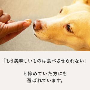 犬 おやつ 猫 ドッグフード ペットフード ウ...の詳細画像3
