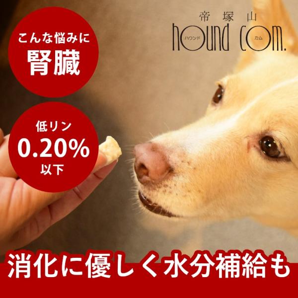 とっておきのひとくちテリーヌ チキン 100g ハウンドカム食堂