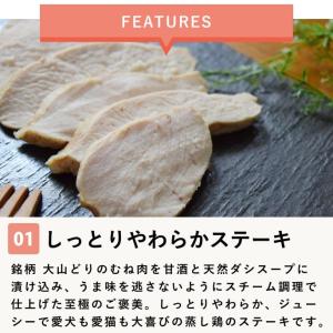 犬 おやつ 猫 ドッグフード ペットフード ウ...の詳細画像1